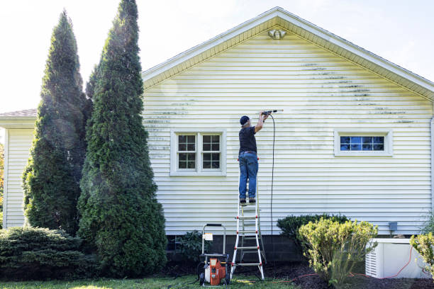 Best Sidewalk and Walkway Cleaning  in Driggs, ID