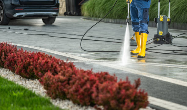 Best Fence Cleaning  in Driggs, ID
